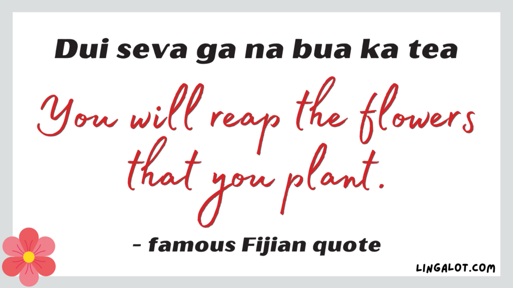 Famous Fijian quote which reads 'you will reap the flowers that you plant'.