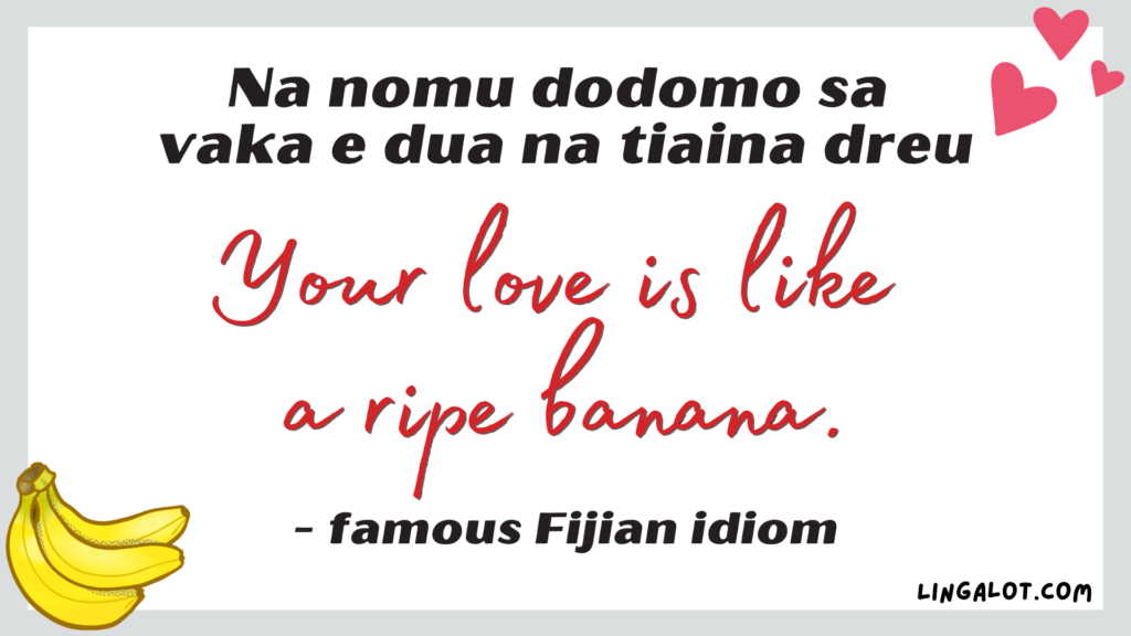 Famous Fijian idiom which reads 'your love is like a ripe banana'.