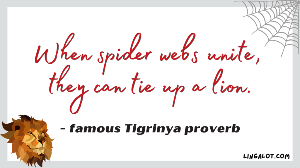 Famous Tigrinya proverb which reads 'when spider webs unite, they can tie up a lion'.
