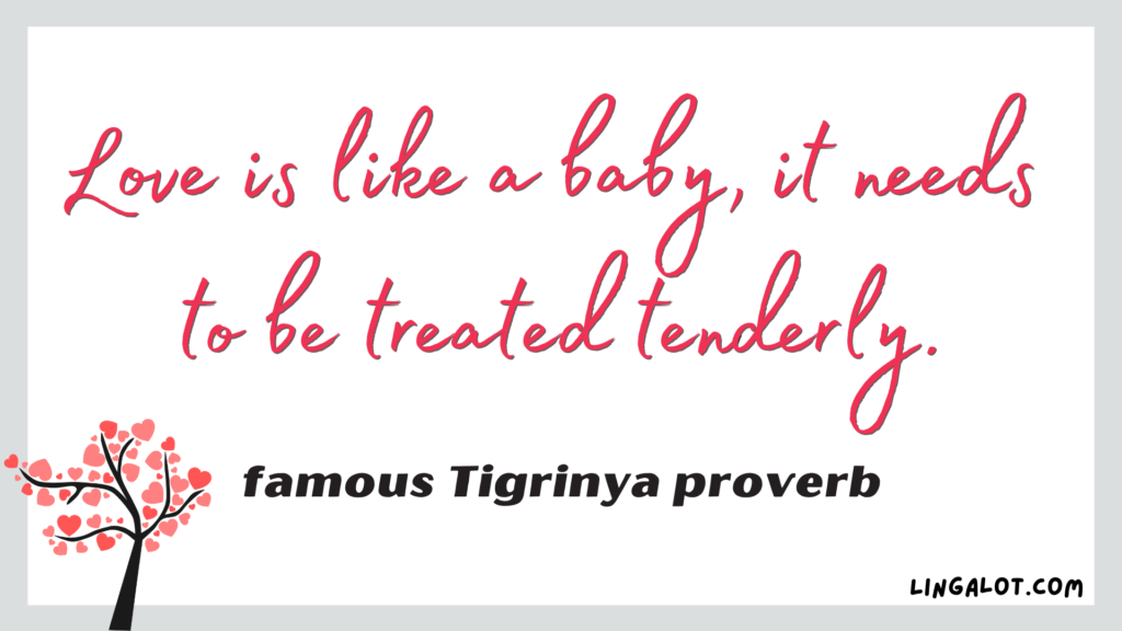 Famous Tigrinya proverb which reads 'love is like a baby, it needs to be treated tenderly'.