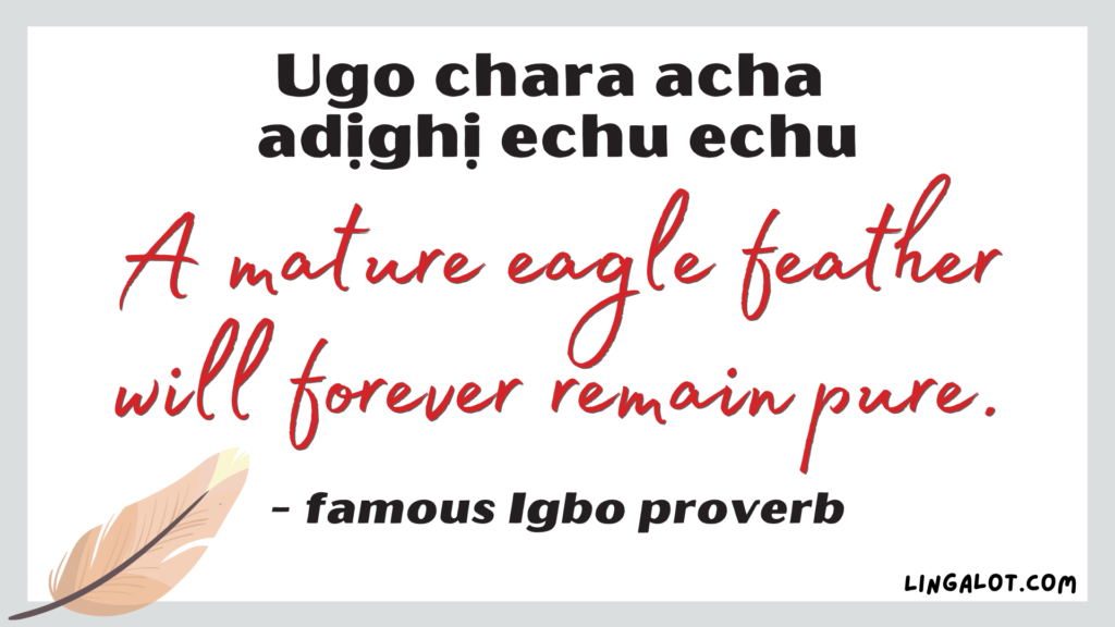 50+ Igbo Proverbs, Quotes & Idioms + Their Meanings - Lingalot