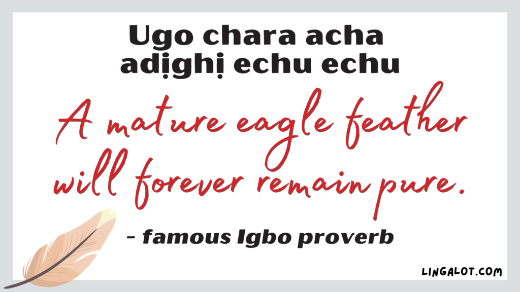 Famous Igbo proverb which reads 'a mature eagle feather will forever remain pure'.