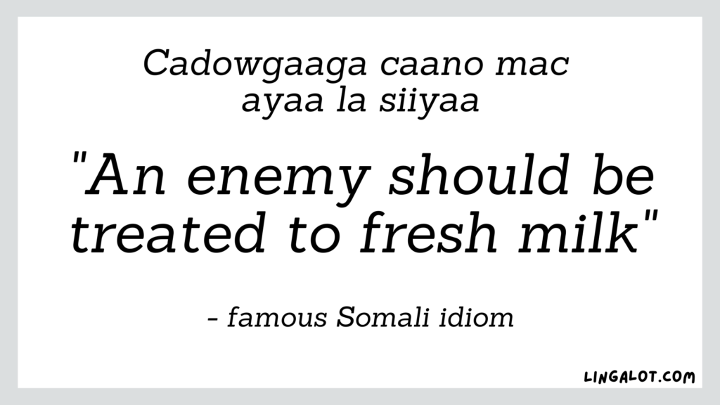 Famous Somali idiom which reads 'an enemy should be treated to fresh milk'.