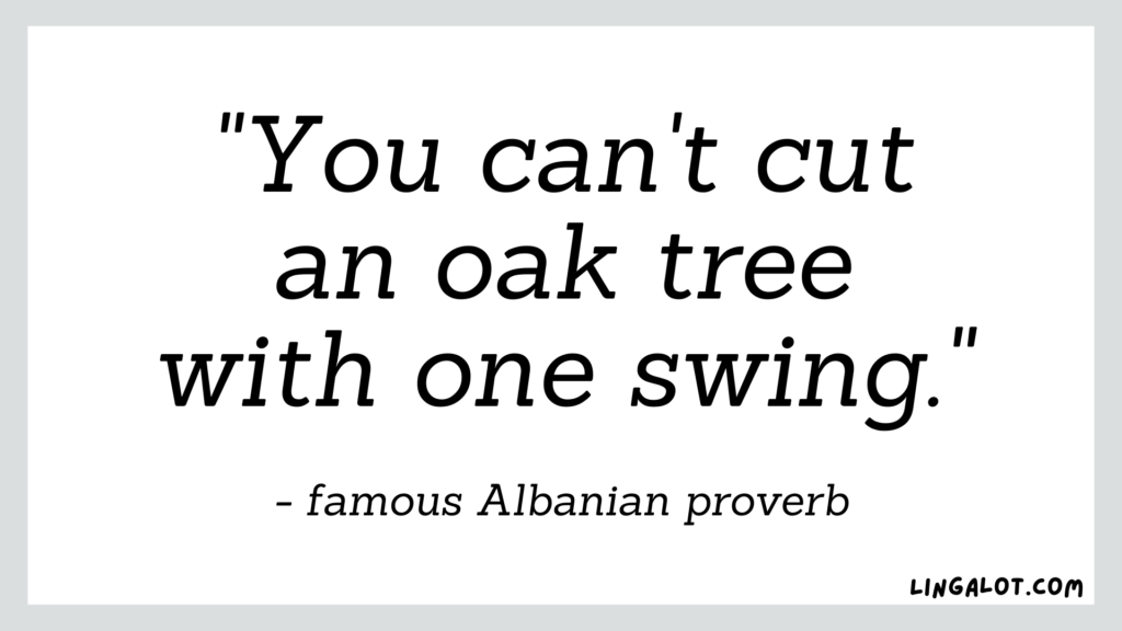 Famous Albanian proverb which reads 'you can't cut an oak tree with one swing'.