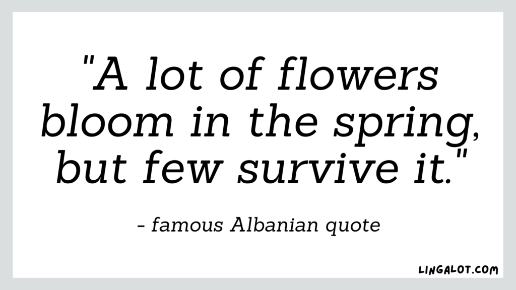 Famous Albanian quote which reads 'a lot of flowers bloom in the spring, but few survive it'.