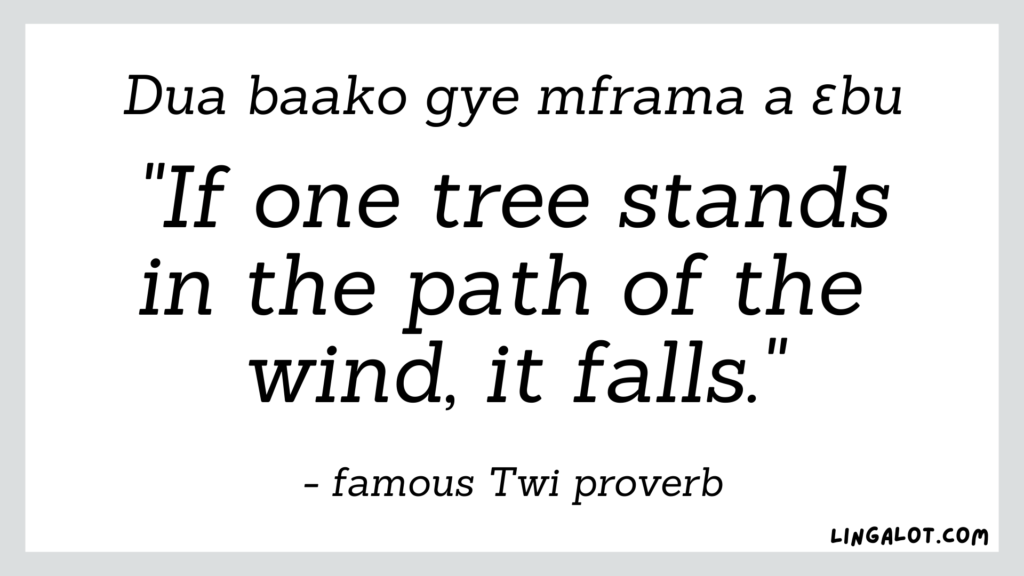 Famous Twi Akan proverb which reads 'if one tree stands in the path of the wind, it falls'. 
