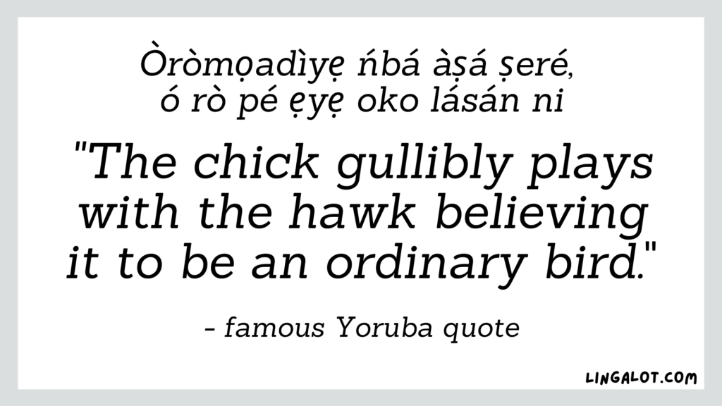 Famous Yoruba quote which reads 'the chick gullibly plays with the hawk believing it to be ordinary bird'.