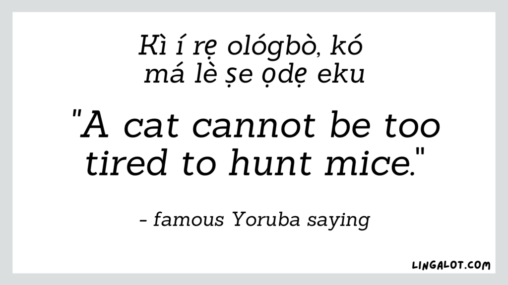 Famous Yoruba saying which reads 'a cat cannot be too tired to hunt mice'.