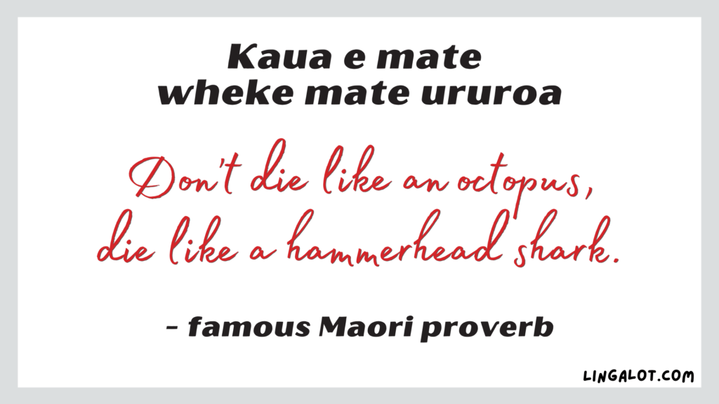 Famous Maori proverb which reads 'don't die like an octopus, die like a hammerhead shark'.