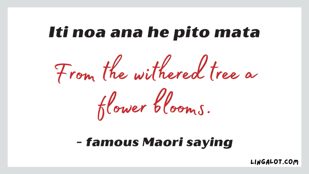 Famous Maori saying which reads 'from the withered tree a flower blooms'.
