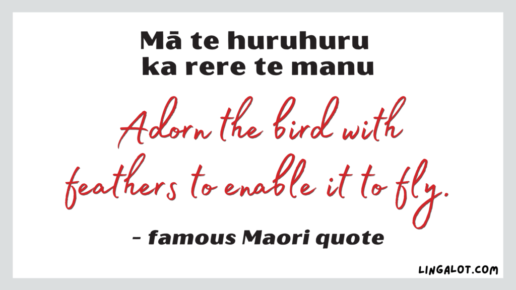 Famous Maori quote which reads 'adorn the bird with feathers to enable it to fly'.
