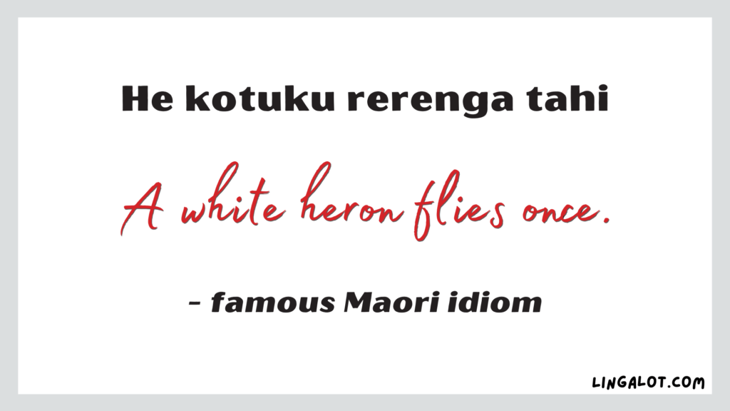 Famous Maori idiom which reads 'a white heron flies once'.