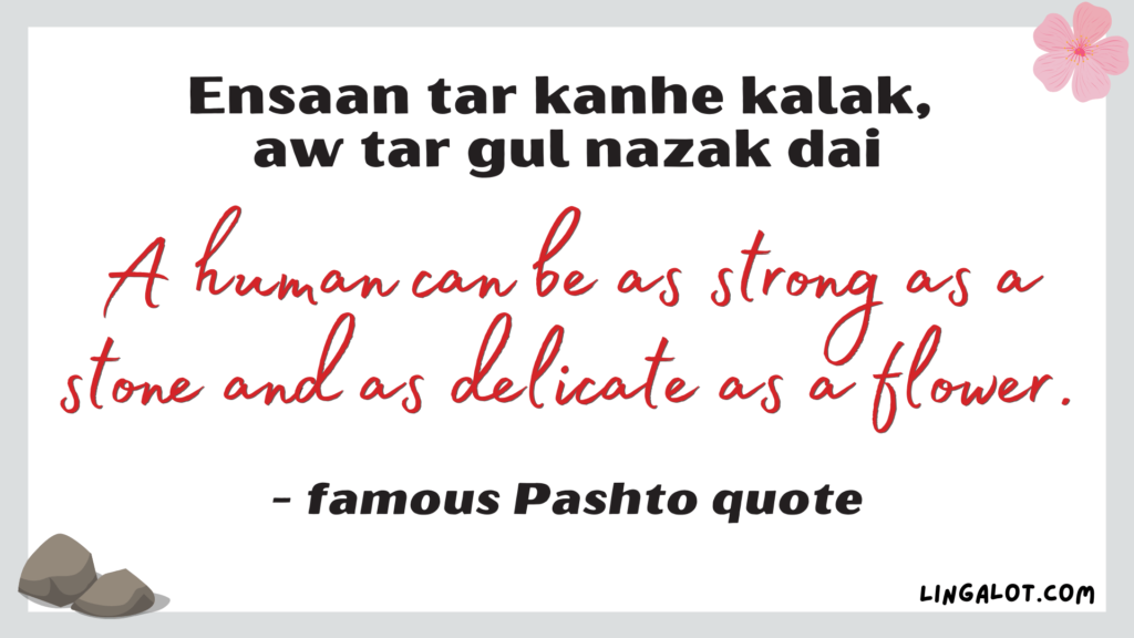 Famous Pashto quote which reads 'a human can be as strong as a stone and as delicate as a flower'.