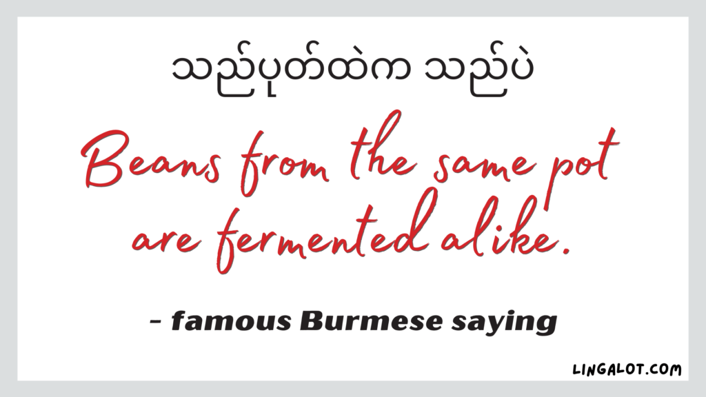 Famous Burmese saying which reads 'beans from the same pot are fermented alike'.