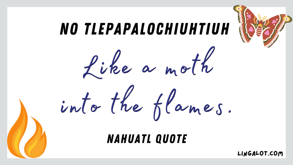 Famous Nahuatl quote which reads 'like a moth into the flames'.