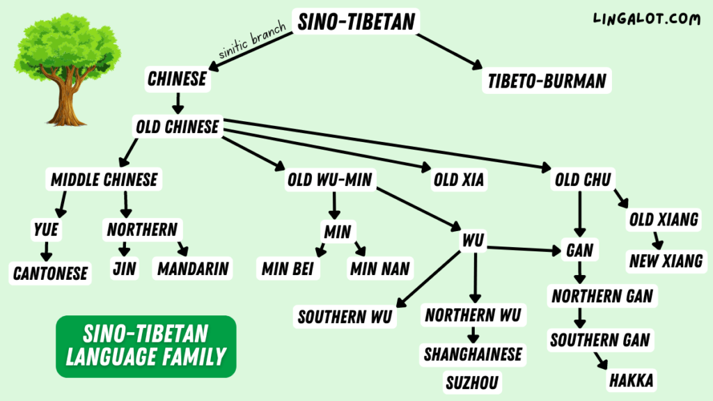 Diagram showing the Sino-Tibetan language family tree.