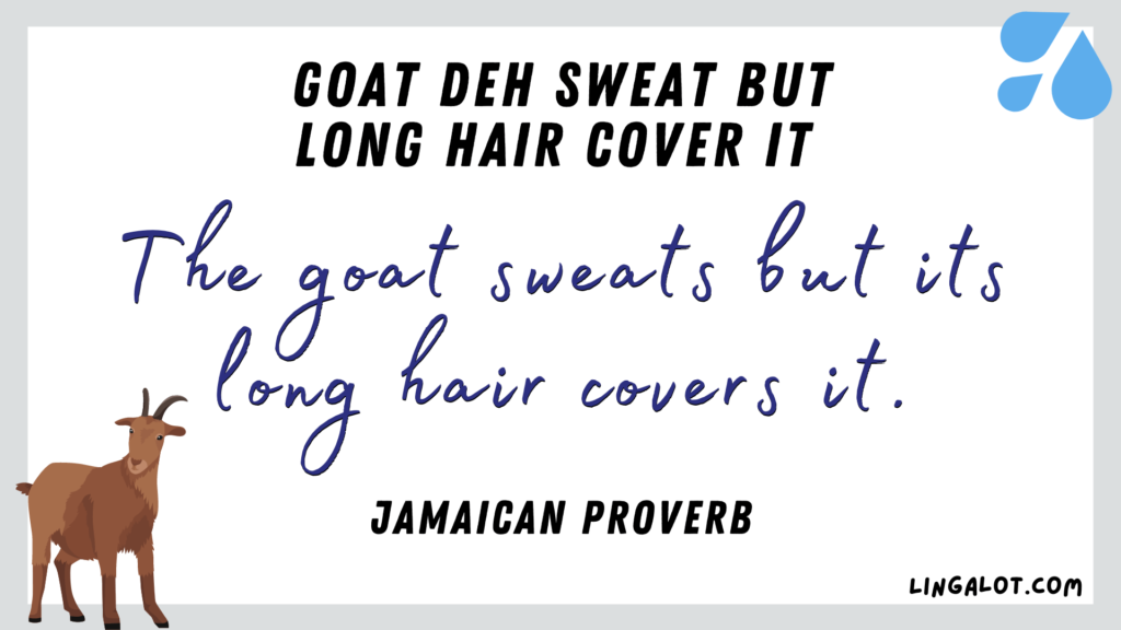 Jamaican proverb which reads 'the goat sweats but its long hair covers it'.