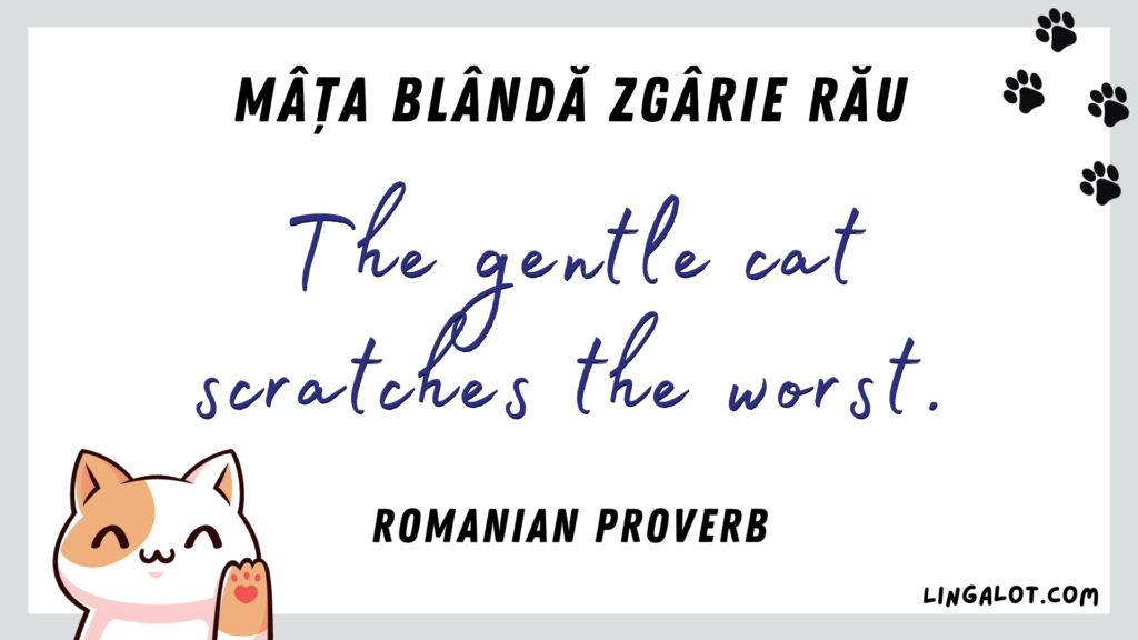 Famous Romanian proverb which reads 'the gentle cat scratches the worst'.