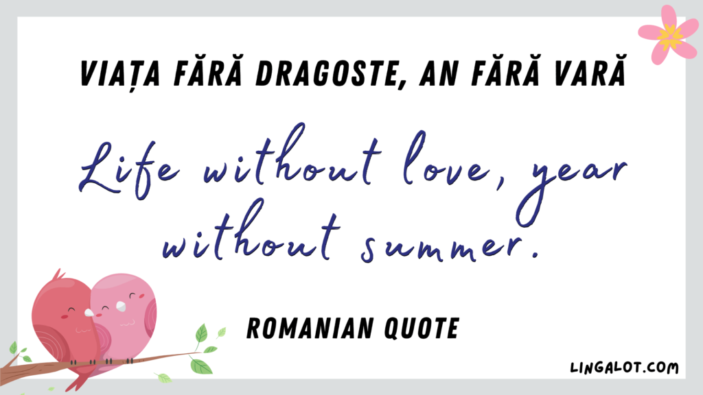 Famous Romanian quote which reads 'life without love, year without summer'.