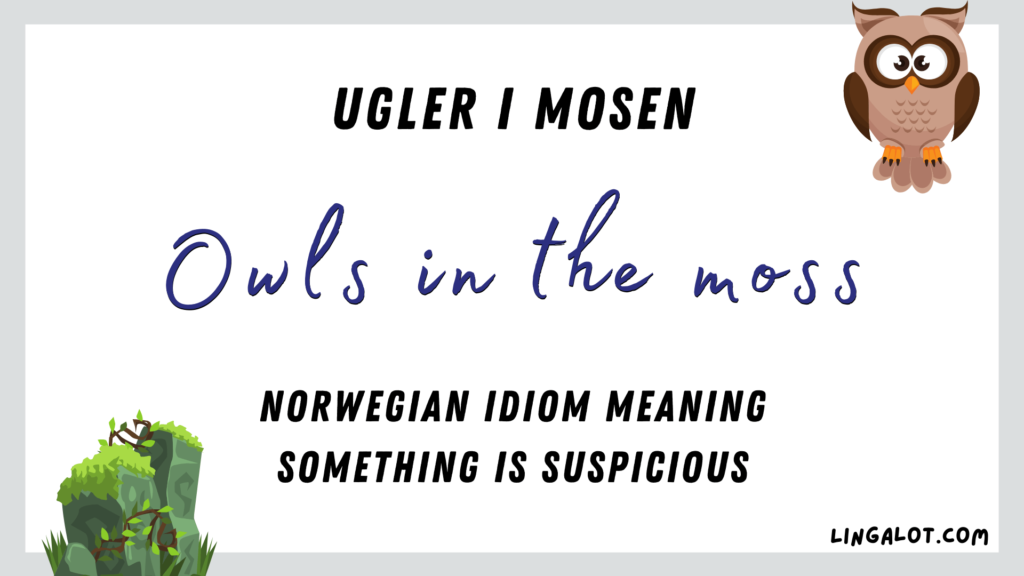 Norwegian idiom which reads 'owls in the moss' meaning something is suspicious.