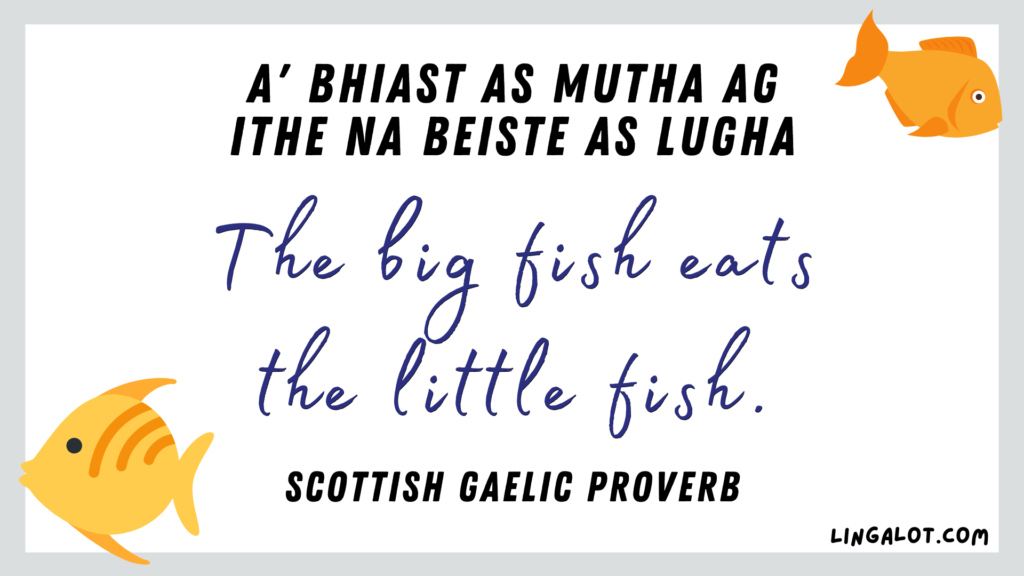 Famous Scottish Gaelic proverb which reads 'the big fish eats the little fish'.