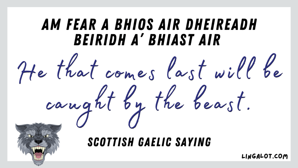Famous Scottish Gaelic saying which reads 'he that comes last will be caught by the beast'.
