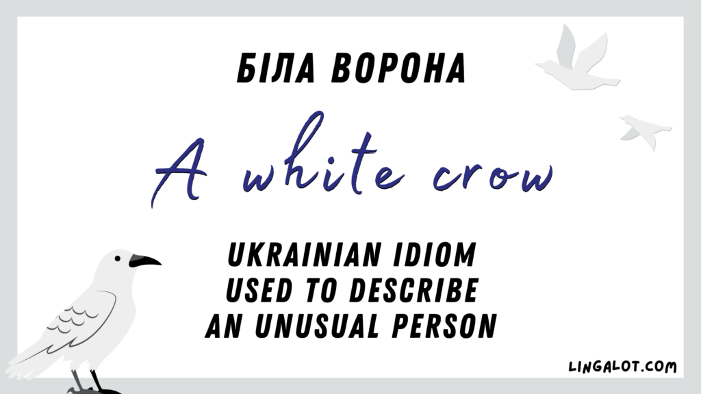 Ukrainian idiom which reads 'a white crow' and is used to describe an unusual person.