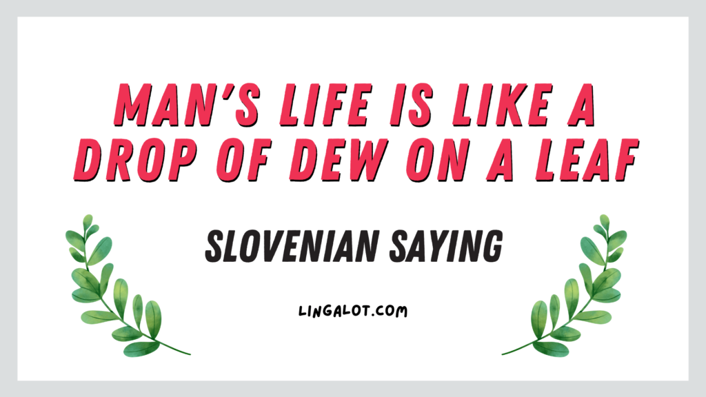 Slovenian saying which reads 'man's life is like a drop of dew on a leaf'.