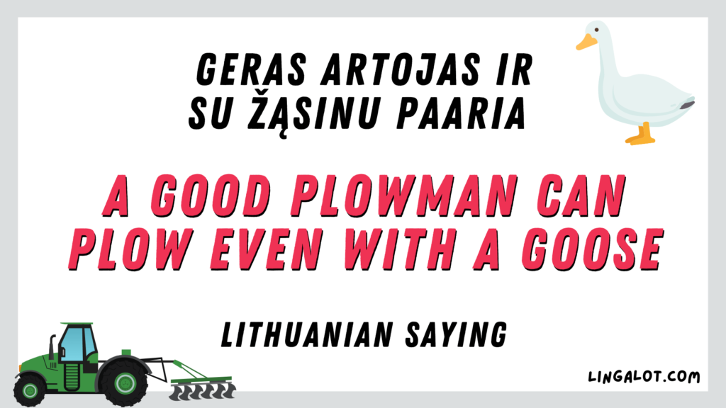 Famous Lithuanian saying which reads 'a good plowman can plow even with a goose'.