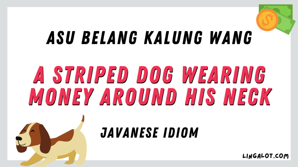 Javanese idiom which reads 'a striped dog wearing money around his neck'.