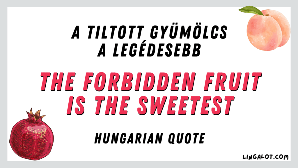 Hungarian quote which reads 'the forbidden fruit is the sweetest'.