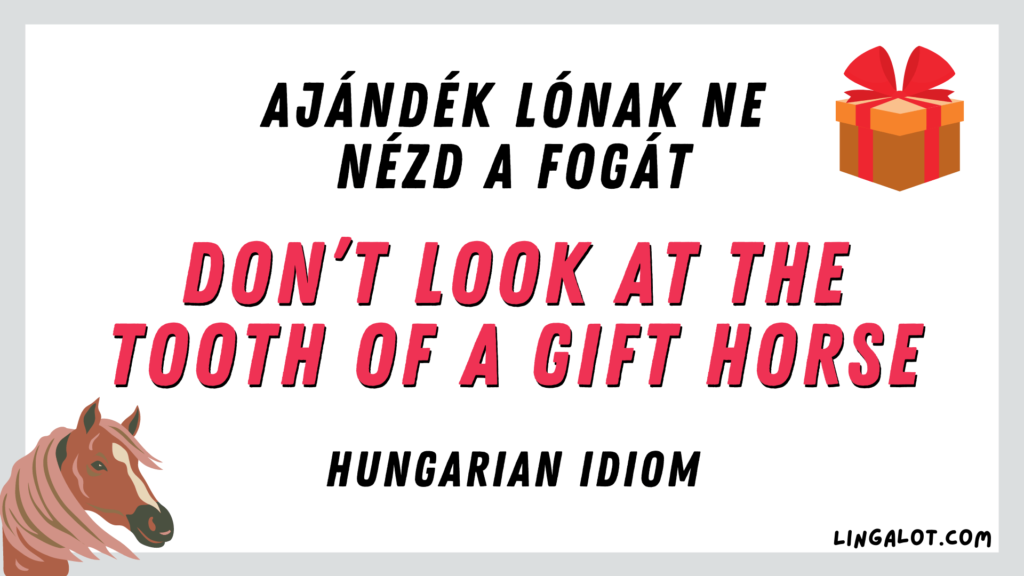 Hungarian idiom which reads 'don’t look at the tooth of a gift horse'.