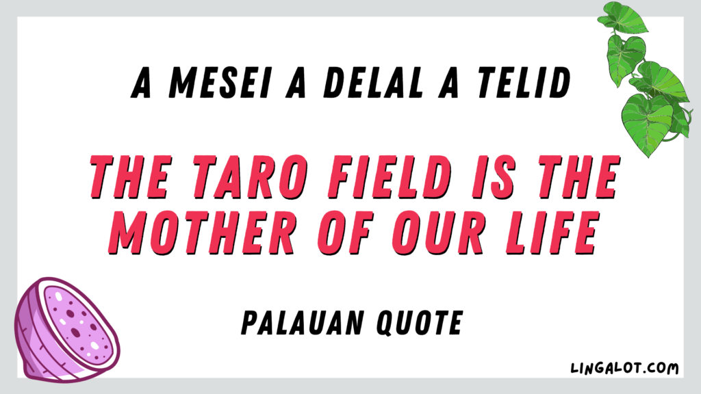 Palauan quote which reads 'the taro field is the mother of our life'.
