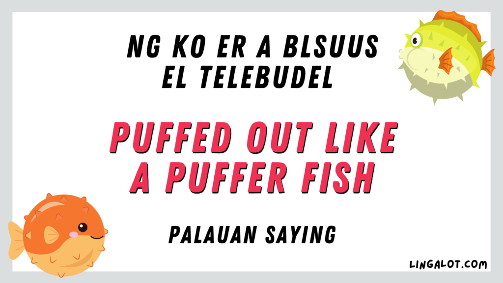 Palauan saying which reads 'puffed out like a puffer fish'.