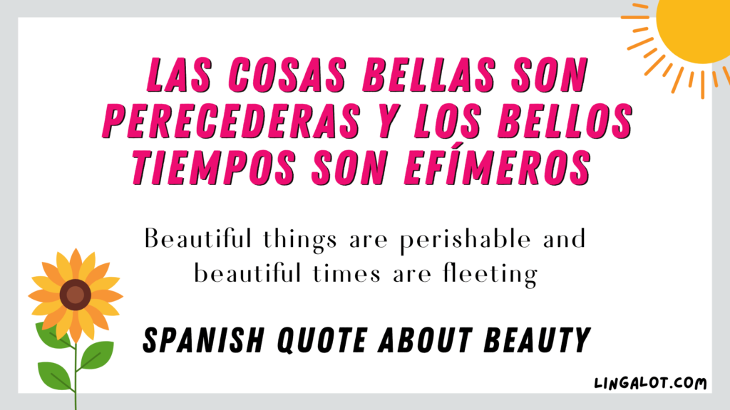 Spanish quote about beauty which reads 'beautiful things are perishable and beautiful times are fleeting'.