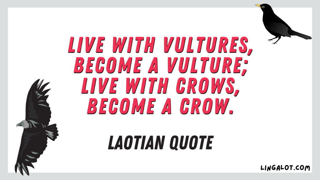 Famous Laotian quote which reads 'live with vultures, become a vulture; live with crows, become a crow'.